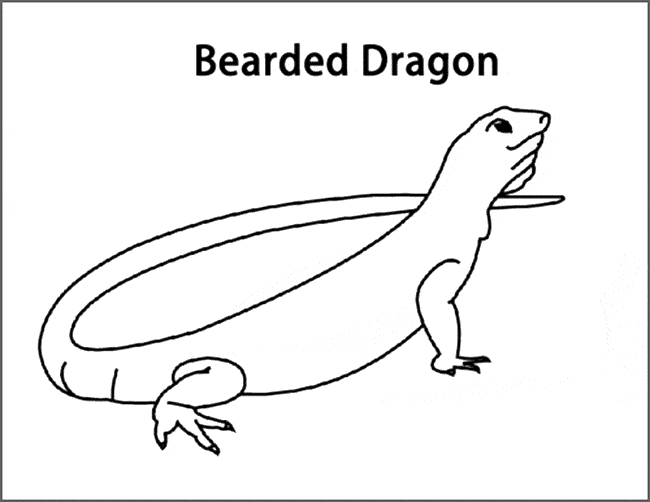 Bearded Dragon coloring page - Animals Town - animals color sheet