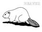 Beaver coloring page