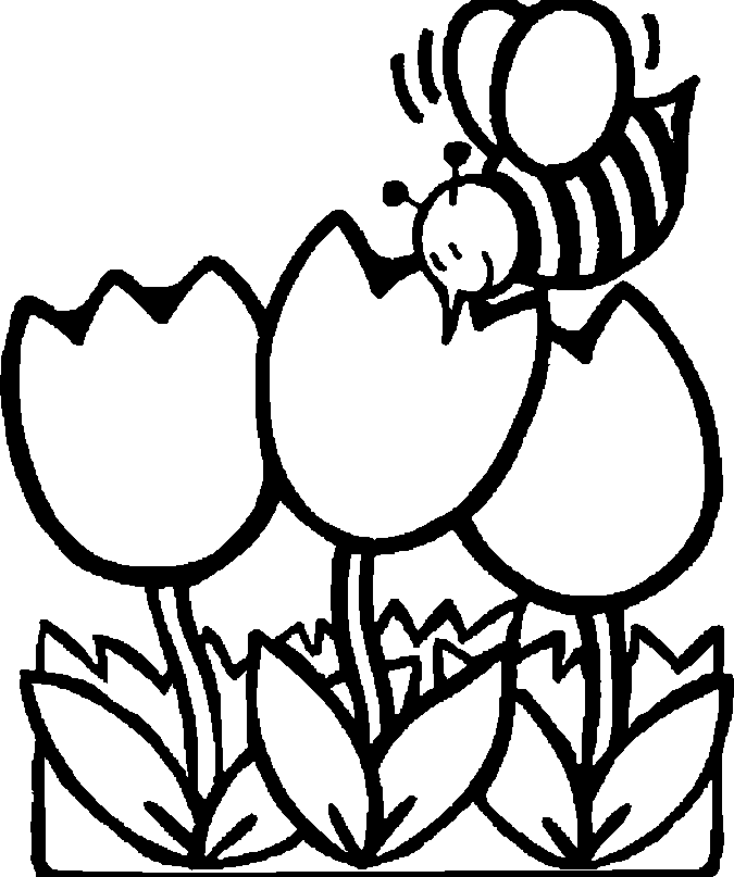Bee coloring page sheet free printable for kids