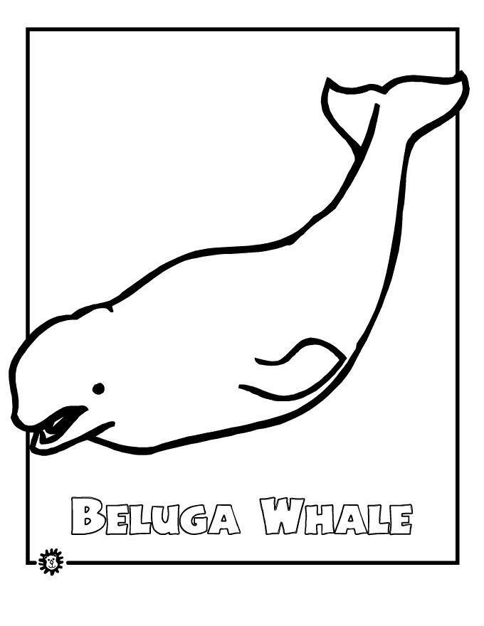 Whale Coloring Page Animals