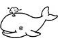 Beluga Whale coloring page