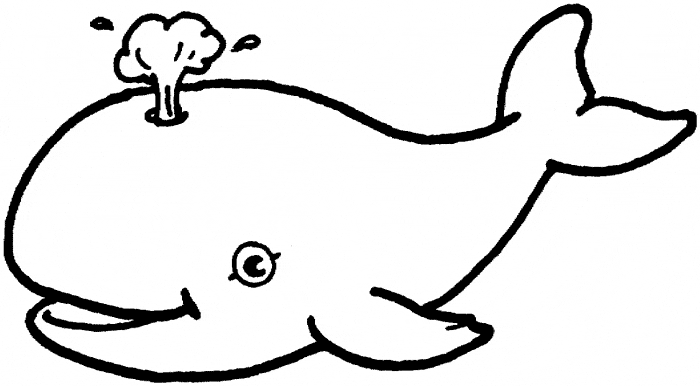 free Beluga Whale coloring