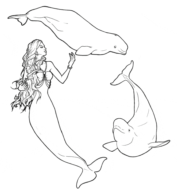 beluga whale coloring page