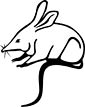 Bilby coloring page