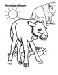 Bison coloring page