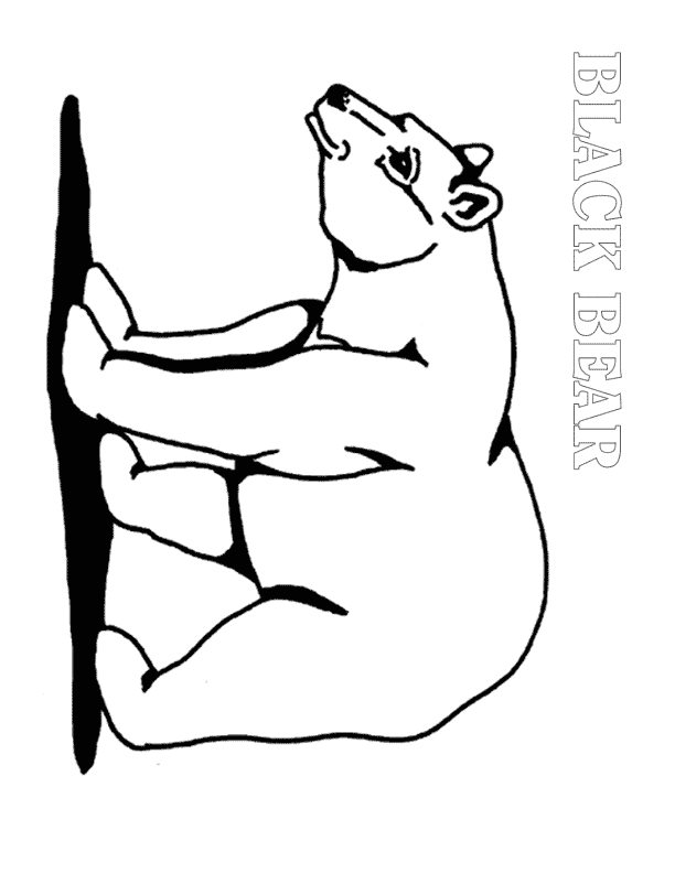free Black Bear coloring page sheet