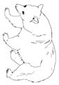 black bear coloring page