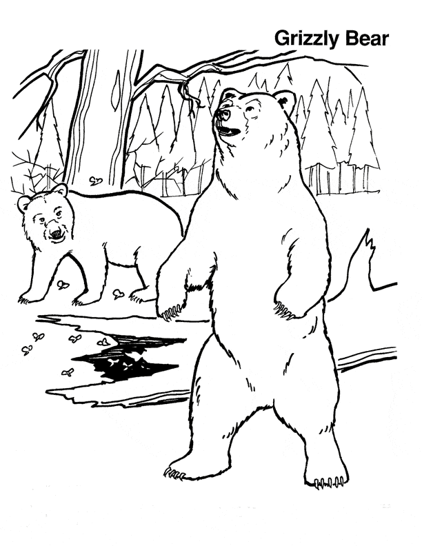 free Black Bear coloring page sheet