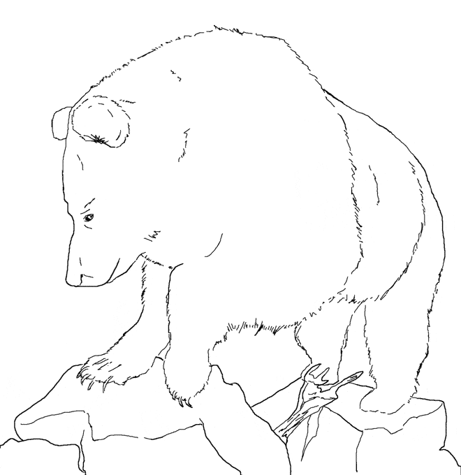 free Black Bear coloring page sheet