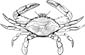 Blue Crab coloring page