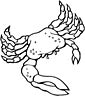 Blue Crab coloring page