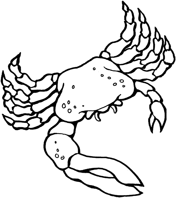 Blue Crab coloring page