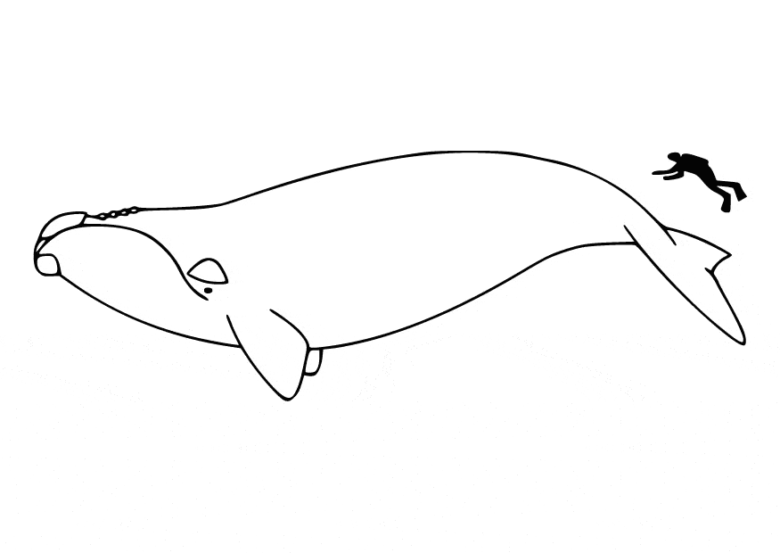 free Blue Whale coloring page