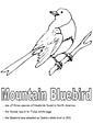 Bluebird coloring page