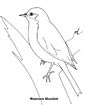 Bluebird coloring page