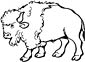 Buffalo coloring page