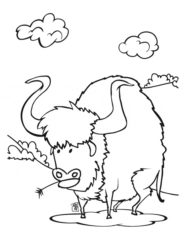 free Buffalo coloring picture