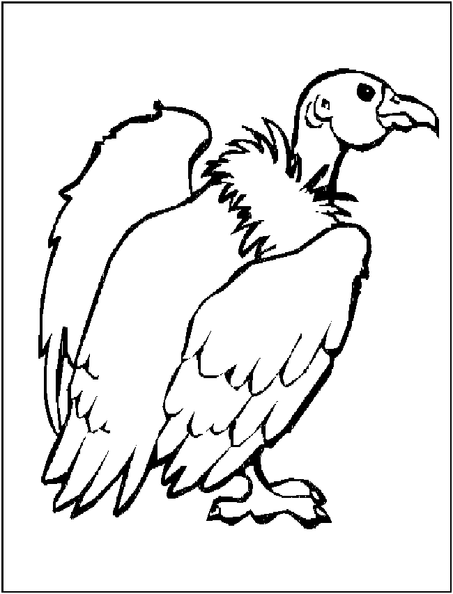 free Buzzard coloring page