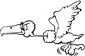 Buzzard coloring page