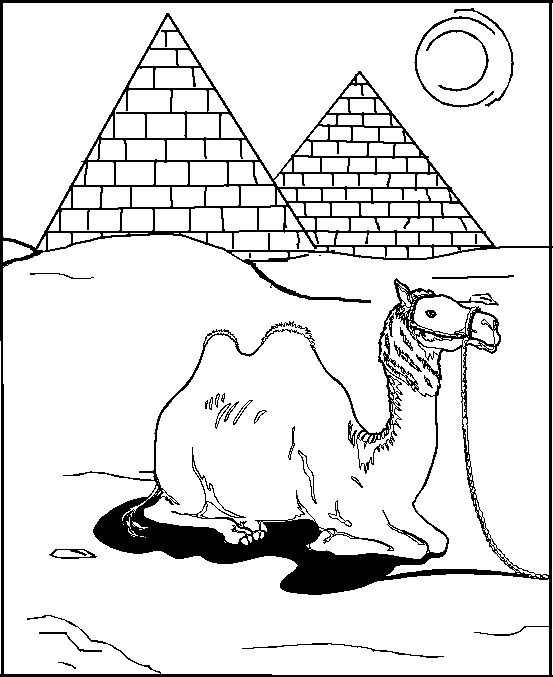 free Camel coloring page