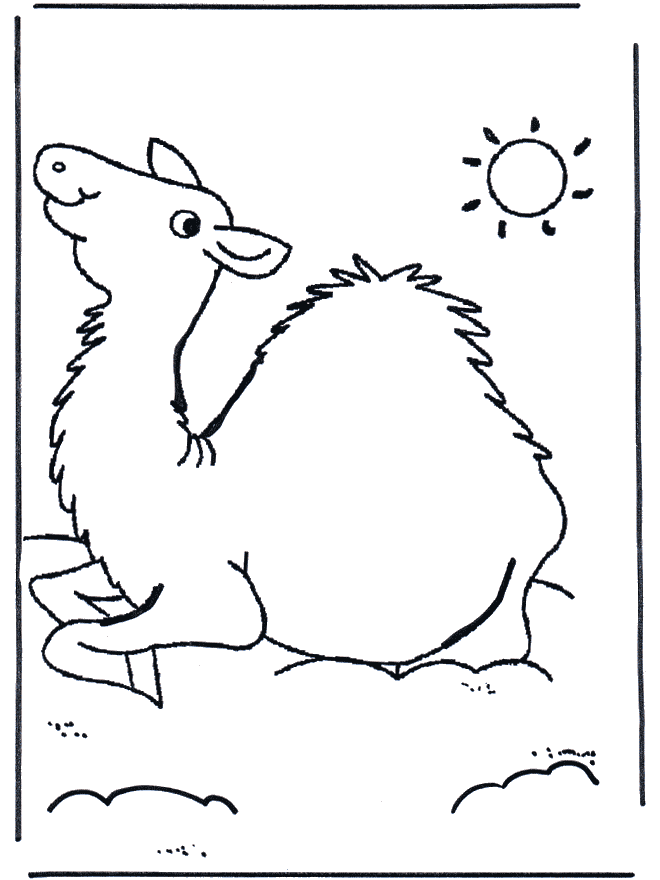 free Camel coloring page