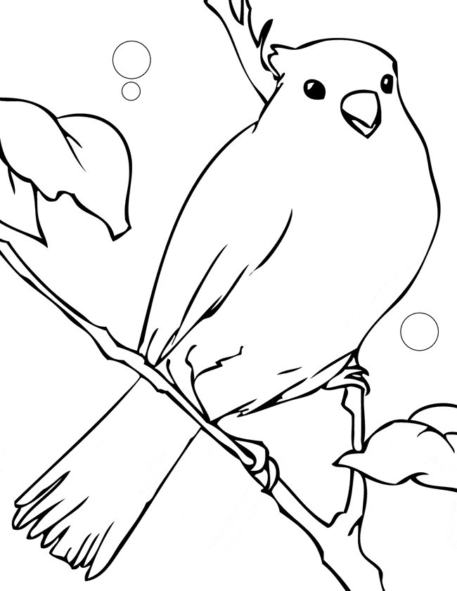 free Canary coloring page