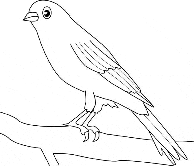 free Canary coloring page