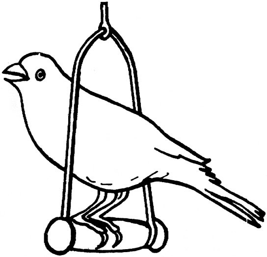 free Canary coloring page