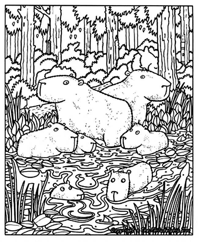 free Capibara coloring page