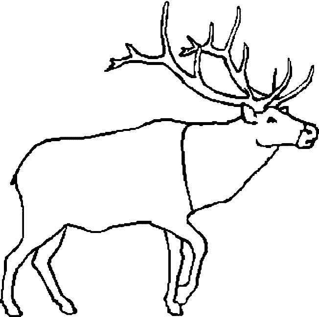 free Caribou coloring page