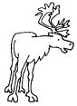 Caribou coloring page