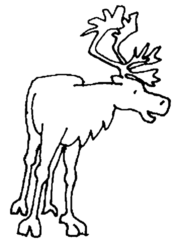 free Caribou coloring page