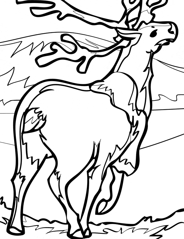 free Caribou coloring page