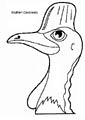 Cassowary coloring page