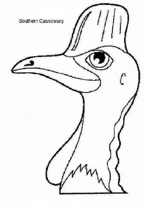 free Cassowary coloring page