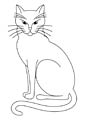 Cat coloring page