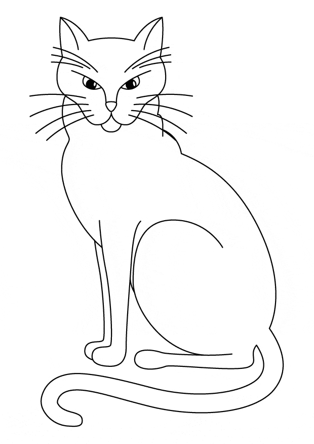 free Cat coloring page picture sheet