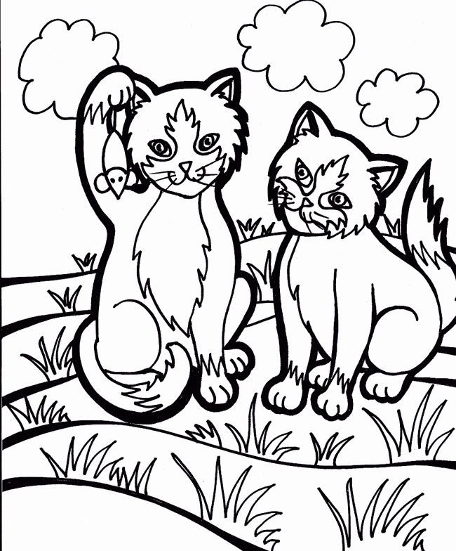 Download Cat coloring page - Cat free printable coloring pages animals