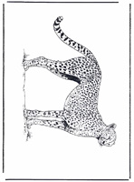 Cheetah coloring page