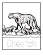 Cheetah coloring page