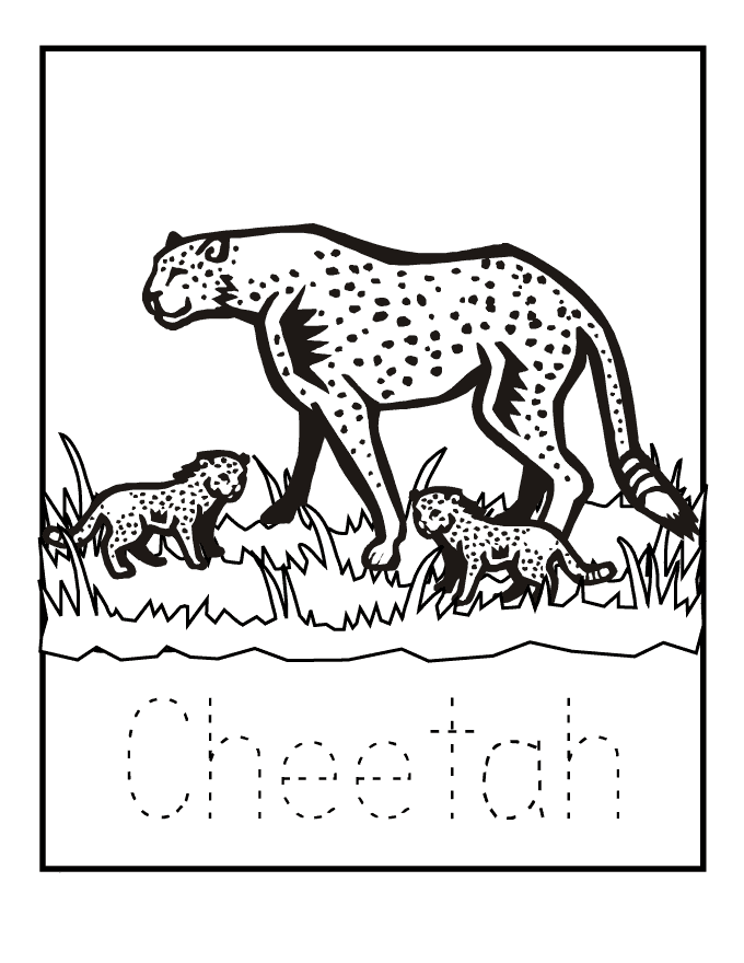 cheetah coloring 03