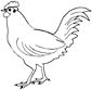 Chicken coloring page