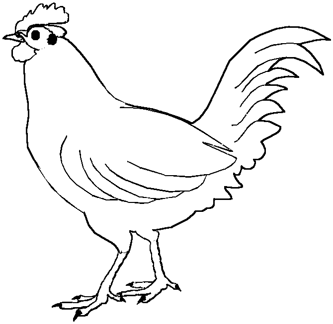 free Chicken coloring