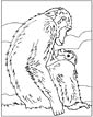 Chimpanzee coloring page