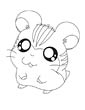 Chinchilla coloring page