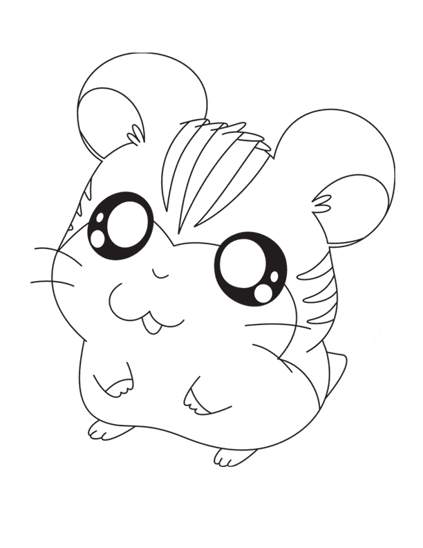 free Chinchilla coloring page