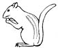 Chipmunk coloring page