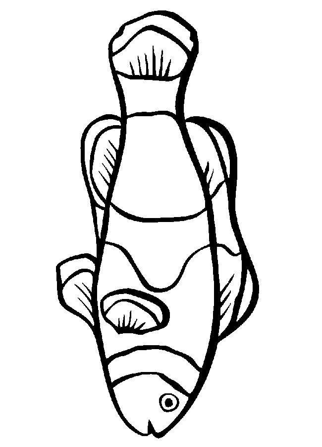 free Clownfish coloring page