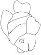 Clownfish coloring page