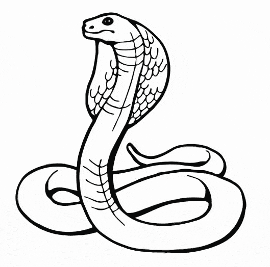 free Cobra coloring page